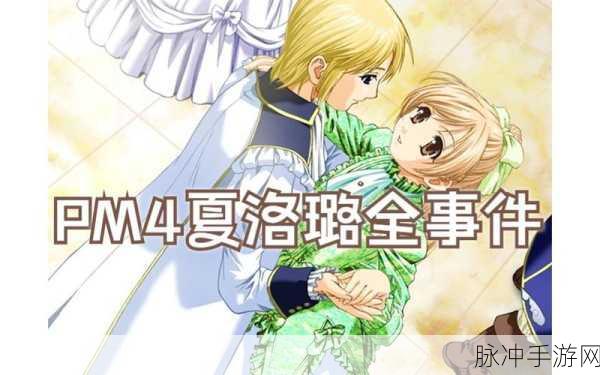 美少女梦工厂4 DS特别版,打造梦幻养成之旅的详尽攻略