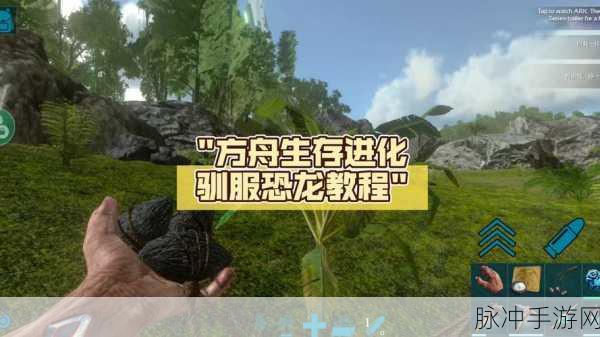 方舟生存进化游戏攻略,揭秘高效秘籍,助你快速驯服各类强大恐龙
