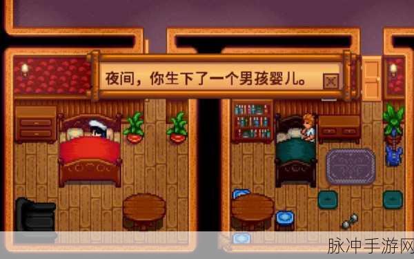 星露谷物语,离婚后孩子归属机制全面解析