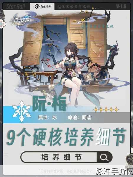 崩坏星穹铁道阮梅光锥选择深度指南,解锁最佳搭配策略