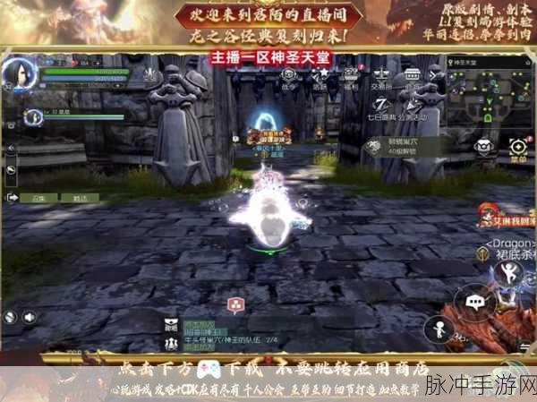 龙之谷2手游攻略,箭神宠物选择全解析