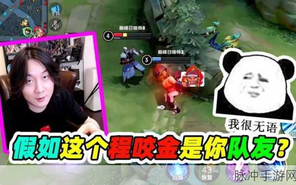 王者荣耀张大仙程咬金连招深度解析与实战攻略