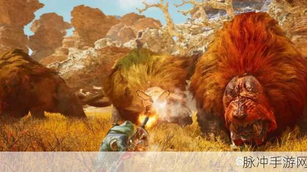 怪物猎人OL,护石之秘,解锁你的战斗利器选择之道