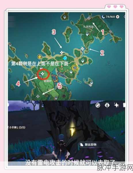 原神医樱任务,雷樱树位置全攻略