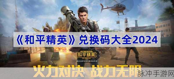 如何成功申请和平精英体验服,详细步骤与注意事项全面指南