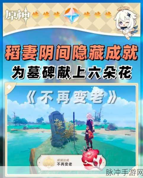 原神第七个武士任务全攻略,解锁稻妻世界的独特篇章