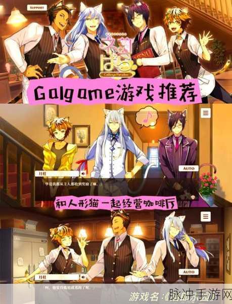 猫塔建设大亨,打造你的猫咪帝国,下载体验无限乐趣