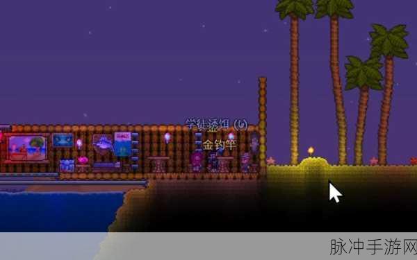 泰拉瑞亚手游攻略,揭秘渔民袖珍宝典的获取之道
