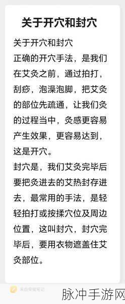 大掌门2封穴技能深度解析与实战应用
