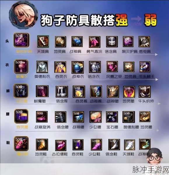 DNF手游攻略,深度解析DNF仓库最高升级等级及详细数据
