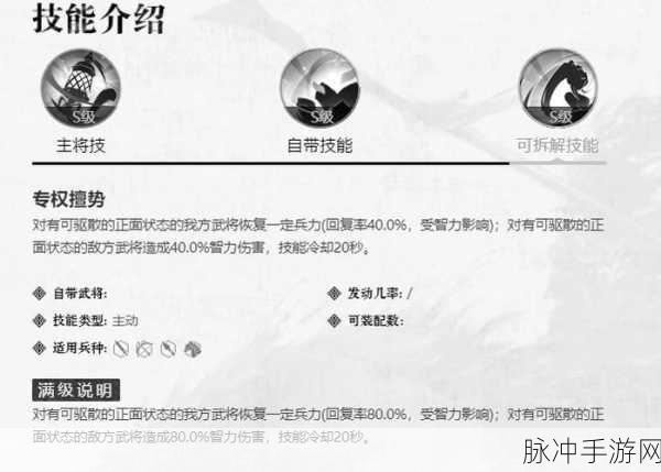 三国志幻想大陆孙鲁班阵容搭配策略与技能使用深度指南,打造顶尖战斗阵容攻略