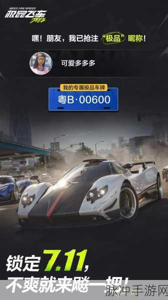 极品飞车OL,飙风驰骋,赛道由你主宰