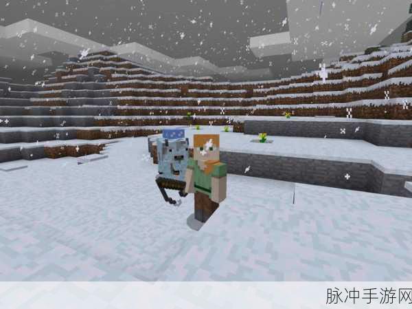 冰原守卫者,揭秘低语之森神秘解锁方法的全面攻略