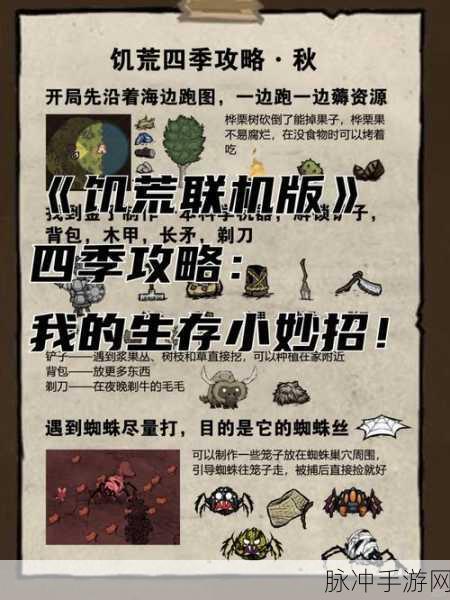 饥荒 19 版更新全知道，精彩内容等你探索