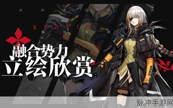 少女前线角色攻略,阿梅利解析与赤道别名探究及作战效能提升