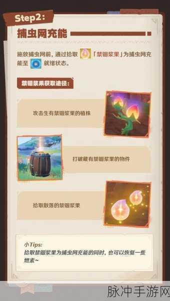 原神，寻溯蜜虫之宝捕虫充能全攻略