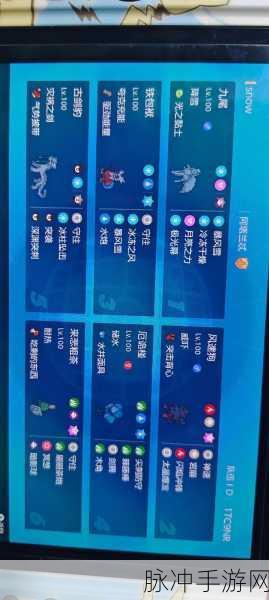 口袋妖怪复刻,全面阵容定位攻略分析与最优策略深度解析