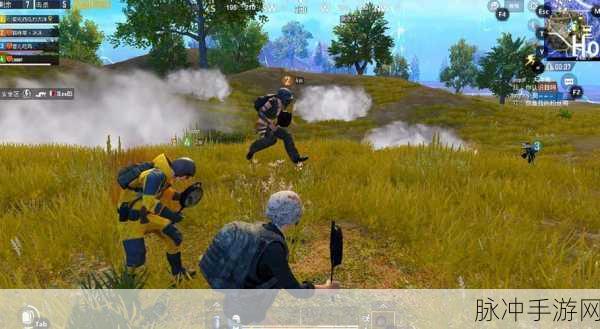 绝地求生刺激战场,胜利策略与点位运用深度剖析