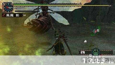 怪物猎人2G深度攻略,揭秘女王蜂的出现与征服之道