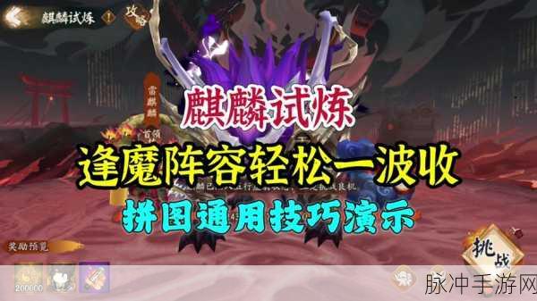 阴阳师麒麟高分阵容揭秘,从零到巅峰的战斗策略