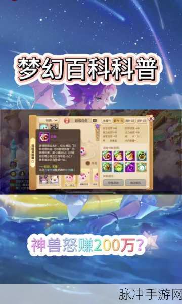 梦幻西游手游攻略,白虎见6高效指挥策略