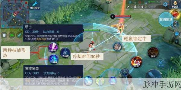 王者荣耀深度攻略，寒冰惩戒技能全解析