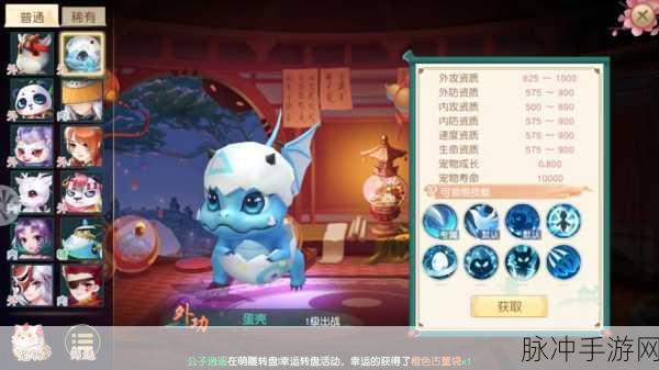神雕侠侣2手游稀有宠物获取全攻略,解锁所有途径的详细盘点