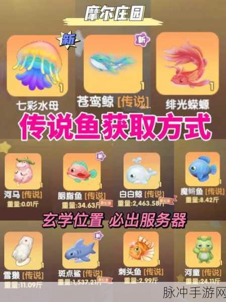 摩尔庄园小镇钓鱼秘籍,探寻最佳钓点与珍稀鱼种全攻略