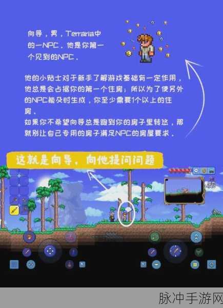 泰拉瑞亚冒险指南,埃特尼亚水晶座的完美放置位置