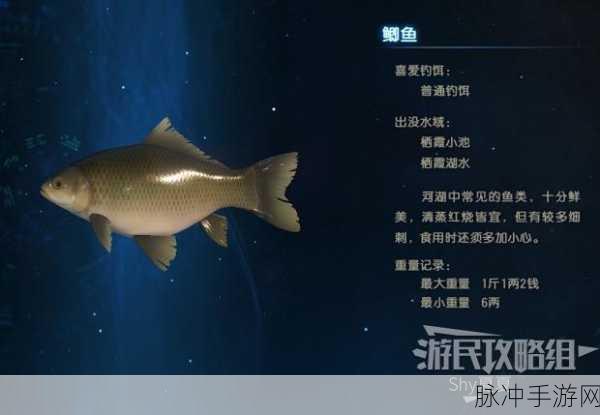 古剑奇谭3手游深度攻略,阳平钓鱼点分布与策略详解