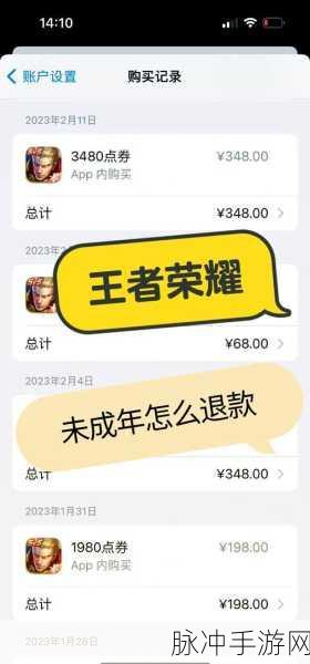 王者荣耀成年玩家退款攻略,全面解析与实操指南