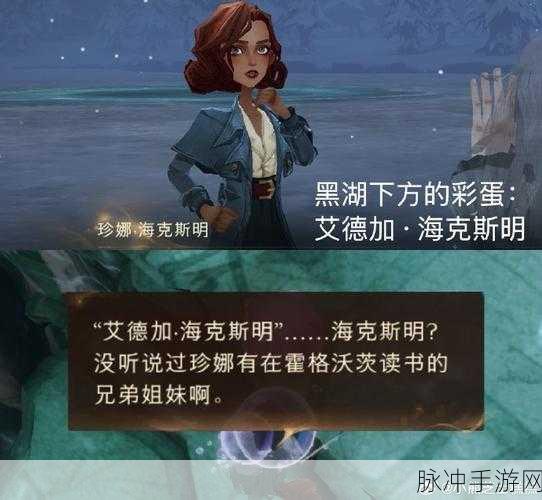 哈利波特的魔法觉醒,礼堂前广场的深度探索——神秘与荣耀的交汇之地