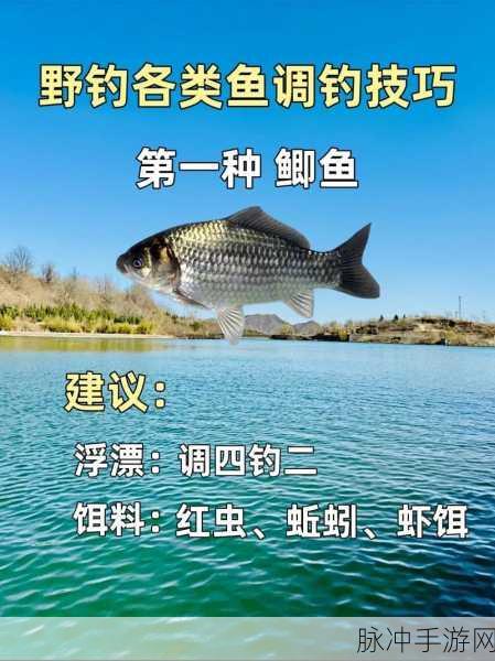 桃源深处寻银鱼,最佳垂钓地点与技巧攻略
