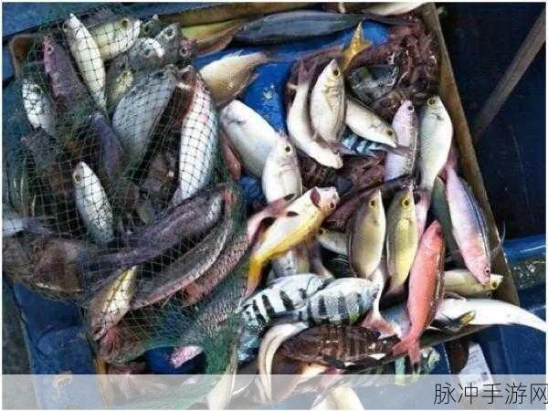 桃源深处寻银鱼,最佳垂钓地点与技巧攻略