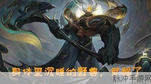 王者荣耀深度攻略,解读王者荣耀Sliver与Soll的真正含义
