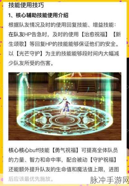 地下城与勇士手游,圣骑士能力值全解析与实战攻略