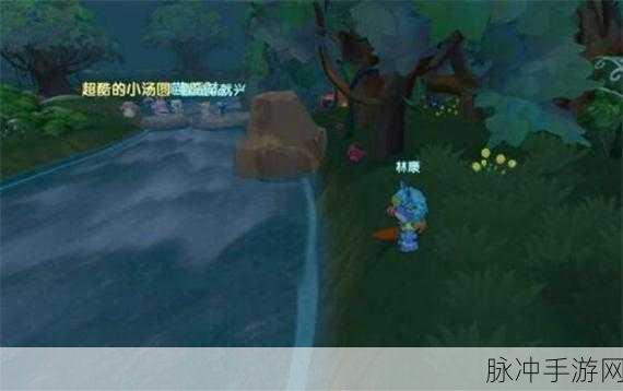 摩尔庄园手游,揭秘宝箱鉴定方法与位置攻略