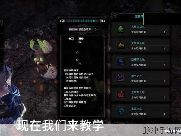 怪物猎人世界手游攻略,CE修改调查点数深度解析