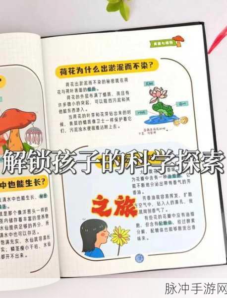 修复大师，探索趣味无穷的休闲益智之旅