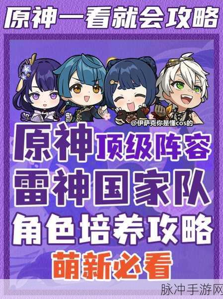 原神雷神阵容搭配全攻略，最佳角色组合与战斗策略深度探讨