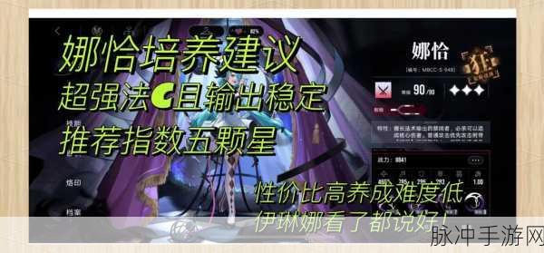 文字西游角色升级攻略,从新手到高手的完全指南