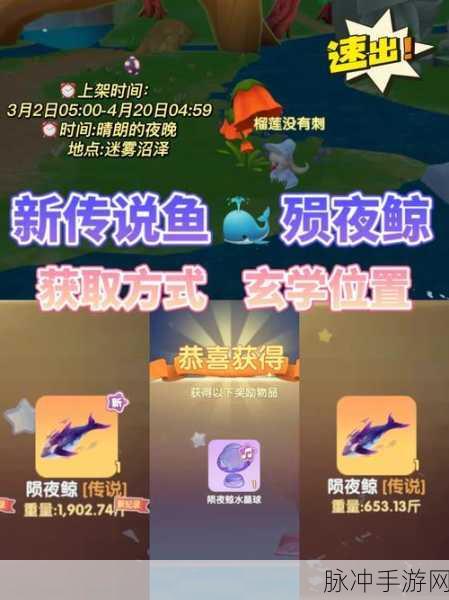 摩尔庄园，陨夜鲸钓获指南，解锁传说鱼完美捕获秘籍