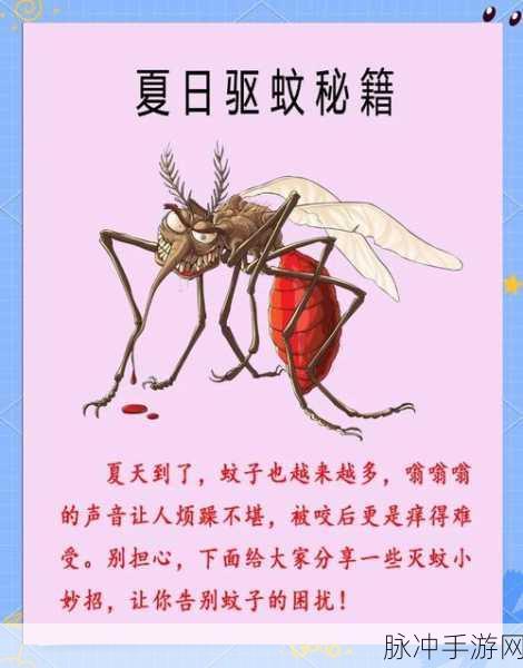 疯狂梗传消灭蚊子游戏攻略秘籍,轻松通关秘籍大揭秘