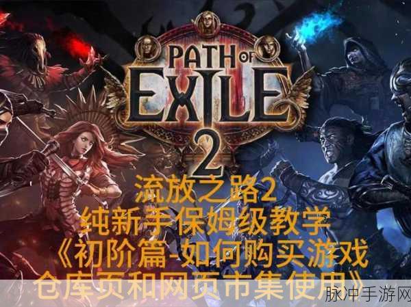流放之路深度攻略，揭秘忠诚之肤高效升级策略