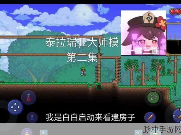泰拉瑞亚猫耳,获取途径、管理方法及其价值最大化策略