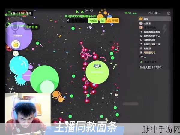 球球大作战上传照片闪退问题全解析及优化攻略