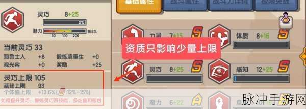 伊洛纳游戏宠物技能合成完全指南,深度解析宠物基因合成技巧大全