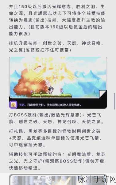 冒险岛手游职业深度解析,探索多样战斗风格与成长路径