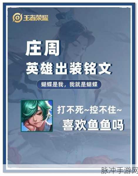 王者荣耀庄周辅助玩法全攻略,从出装到技巧的深度剖析