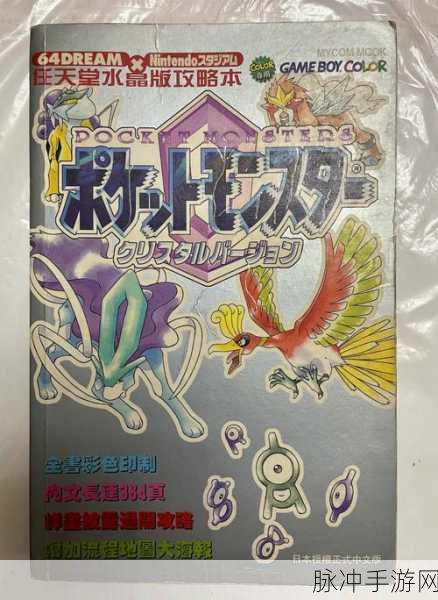 口袋妖怪绿宝石深度攻略，揭秘金珠的珍贵用途